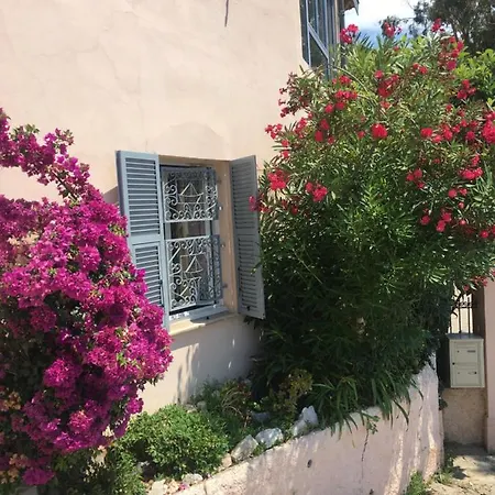 Des Terres Chaudes Proche Bord De Menton